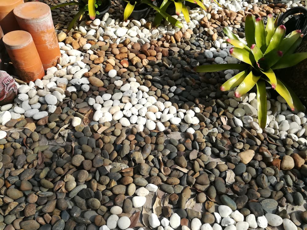 Pebbles in Garden - Deco Pebble in Dubbo, NSW