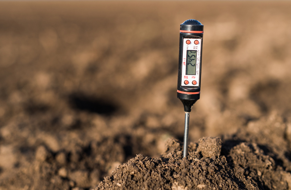 Guide To Understanding Soil Ph Levels In Your Garden