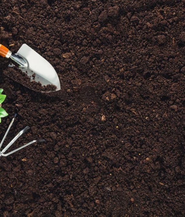 Gardening Tools on Soil - Sand in Dubbo, NSW