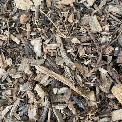 leaf litter