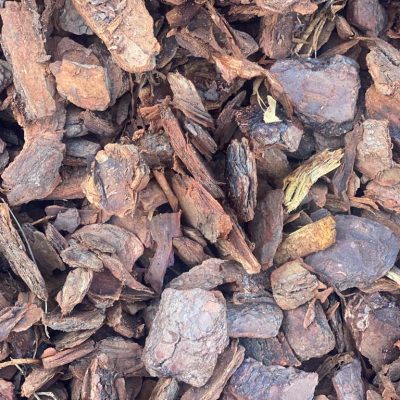radiata bark