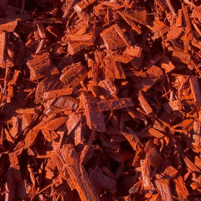 pine chip