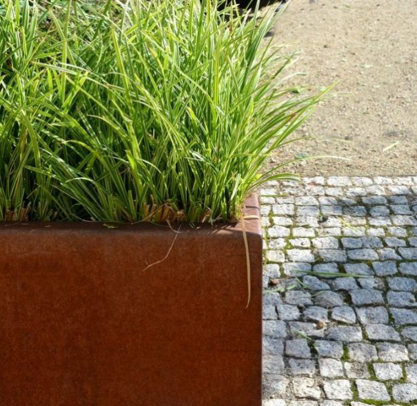Perennials and Grass Bloom in the Flowerbed — All Your Landscaping Supplies in Dubbo, NSW