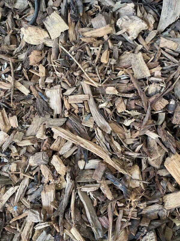 leaf litter